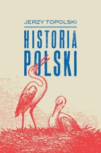 Historia Polski - okłakda ebooka