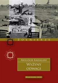 Wyżyny odwagi - okłakda ebooka