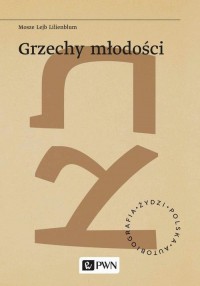 Grzechy młodości - okłakda ebooka