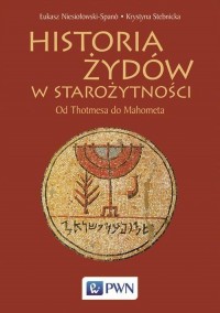 Historia Żydów w starożytności. - okłakda ebooka