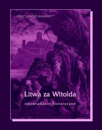 Litwa za Witolda - okłakda ebooka