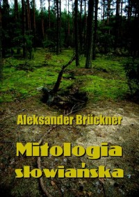 Mitologia słowiańska - okłakda ebooka