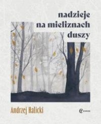 Nadzieje na mieliznach duszy - okładka książki