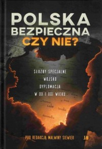 Polska bezpieczna czy nie? Służby - okłakda ebooka