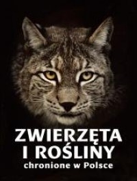 Zwierzęta i rośliny chronione w - okładka książki