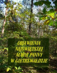 Objawienia Najświętszej Maryi Panny - okłakda ebooka