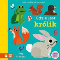 Gdzie jest królik - okładka książki