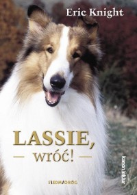 Lassie, wróć ! - okłakda ebooka