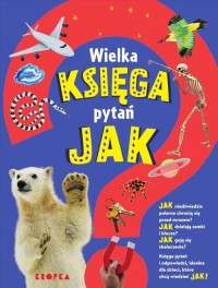 Wielka księga pytań jak - okładka książki