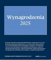 Wynagrodzenia 2025. DGP Poleca - okładka książki