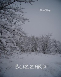 Blizzard - okłakda ebooka