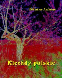 Klechdy polskie - okłakda ebooka