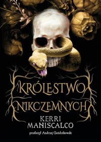 Królestwo Nikczemnych - okłakda ebooka