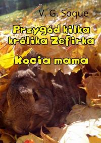 Przygód kilka królika Zefirka. - okłakda ebooka