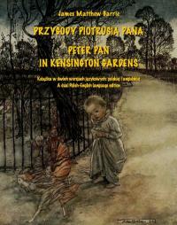 Przygody Piotrusia Pana. Peter - okłakda ebooka