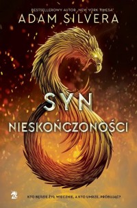 Syn nieskończoności - okłakda ebooka