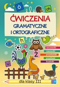 Ćwiczenia gramatyczne i ortograficzne - okłakda ebooka