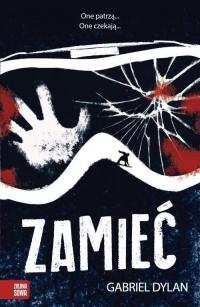 Zamieć - okłakda ebooka