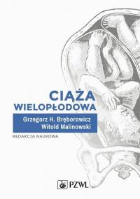 Ciąża wielopłodowa - okłakda ebooka