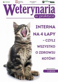 Interna na 4 łapy – czyli wszystko - okłakda ebooka