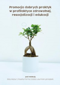 Promocja dobrych praktyk w profilaktyce - okłakda ebooka