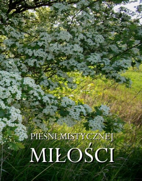 Pieśni mistycznej miłości - okłakda ebooka