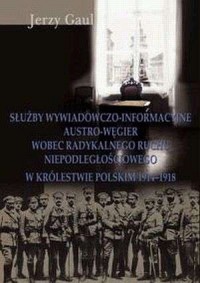 Służby wywiadowczo-informacyjne - okładka książki