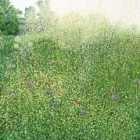 Karnet z kopertą Trawy Harlow Carr - okładka książki