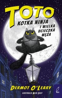 Toto Kotka ninja i wielka ucieczka - okładka książki