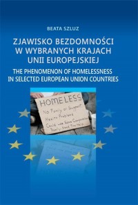 Zjawisko bezdomności w wybranych - okłakda ebooka
