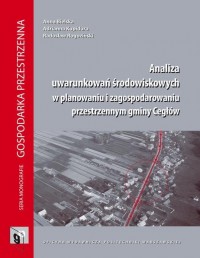 Analiza uwarunkowań środowiskowych - okłakda ebooka
