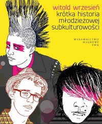 Krótka historia młodzieżowej subkulturowości - okłakda ebooka