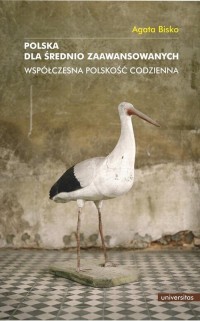 Polska dla średnio zaawansowanych. - okłakda ebooka