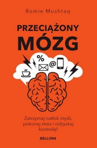 Przeciążony mózg - okładka książki