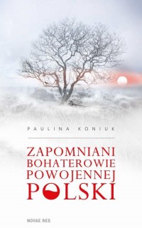 Zapomniani bohaterowie powojennej - okłakda ebooka