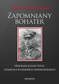 Zapomniany bohater. Nieznane kulisy - okłakda ebooka