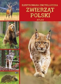Ilustrowana encyklopedia zwierząt - okładka książki