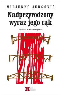 Nadprzyrodzony wyraz jego rąk - okłakda ebooka