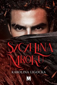 Szczelina mroku - okładka książki