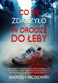 Co się zdarzyło w drodze do Łeby - okładka książki