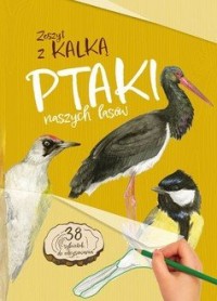 Ptaki naszych lasów. zeszyt z kalką - okładka książki