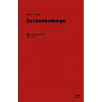 Coś konkretnego - okładka książki