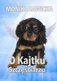 O Kajtku szczęściarzu - okłakda ebooka