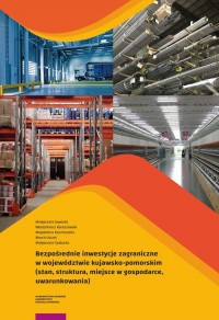 Bezpośrednie inwestycje zagraniczne - okłakda ebooka