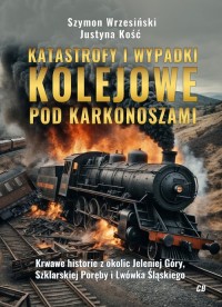 Katastrofy i wypadki kolejowe pod - okładka książki