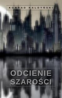 Odcienie szarości - okłakda ebooka