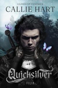 Quicksilver - okłakda ebooka