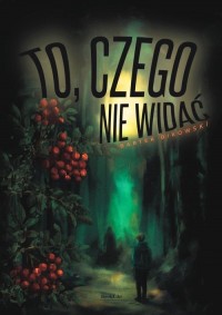 To, czego nie widać - okładka książki