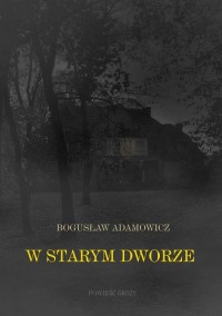 W starym dworze. Powieść fantastyczna - okłakda ebooka