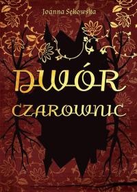 Dwór czarownic - okłakda ebooka